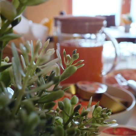 Garden View Bed & Breakfast Anfo Ngoại thất bức ảnh